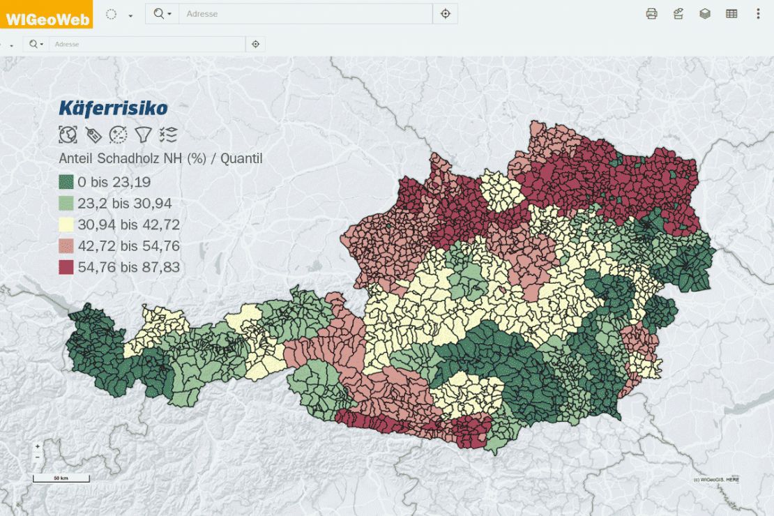 GIS-Analyse Käferrisiko GIS-Analyse Käferrisiko